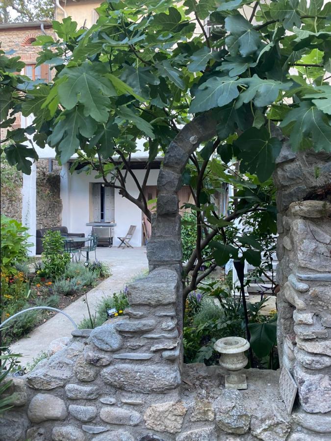 Sculptors Retreat Appartement Céret Buitenkant foto